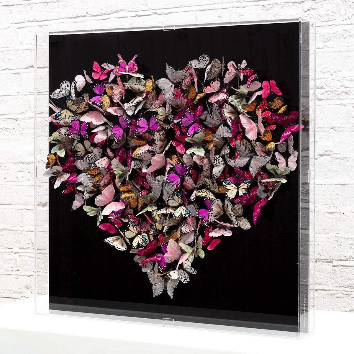 Shiny Blackwing - Original - SOLD by artist Michael Olsen - Wyecliffe Galleries