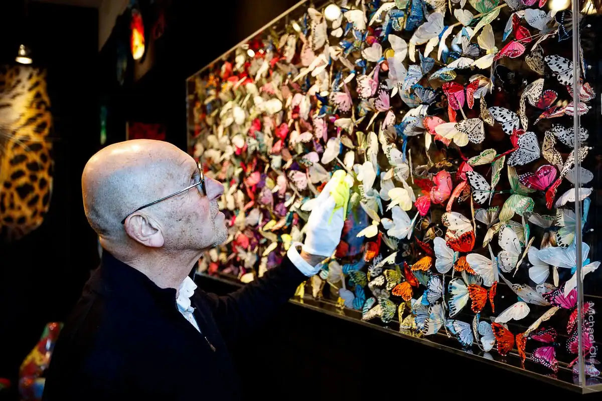 Transition - Original - SOLD by artist Michael Olsen - Wyecliffe Galleries