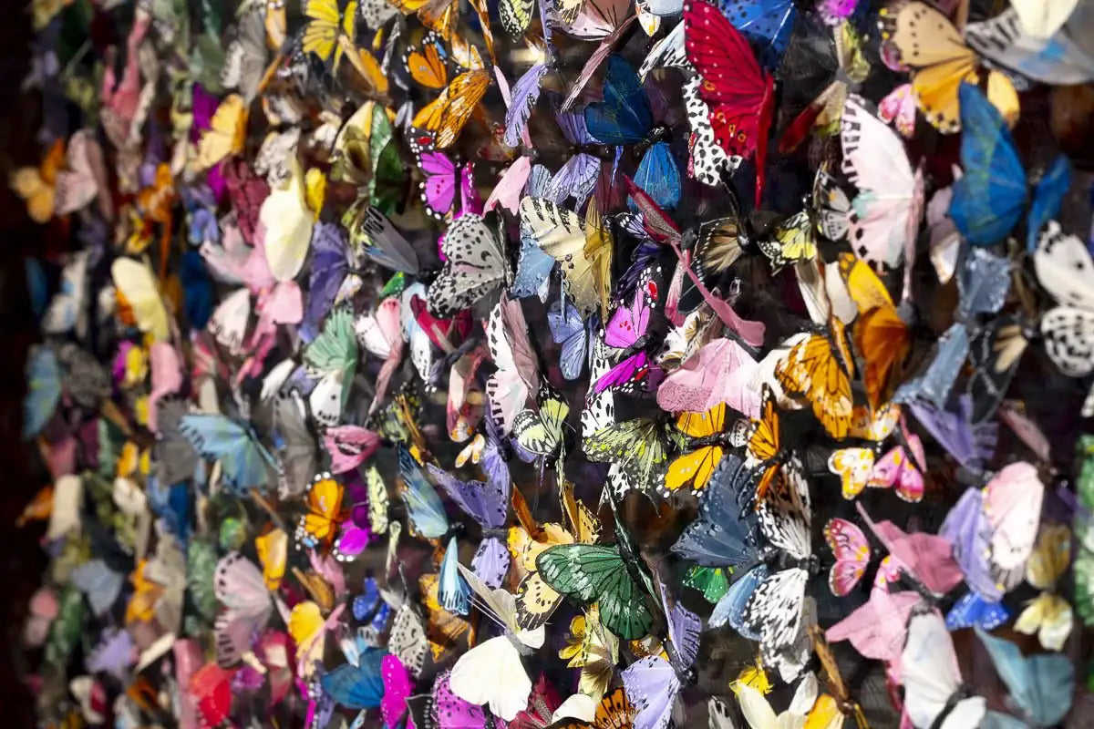 Flutter - Original - SOLD by artist Michael Olsen - Wyecliffe Galleries