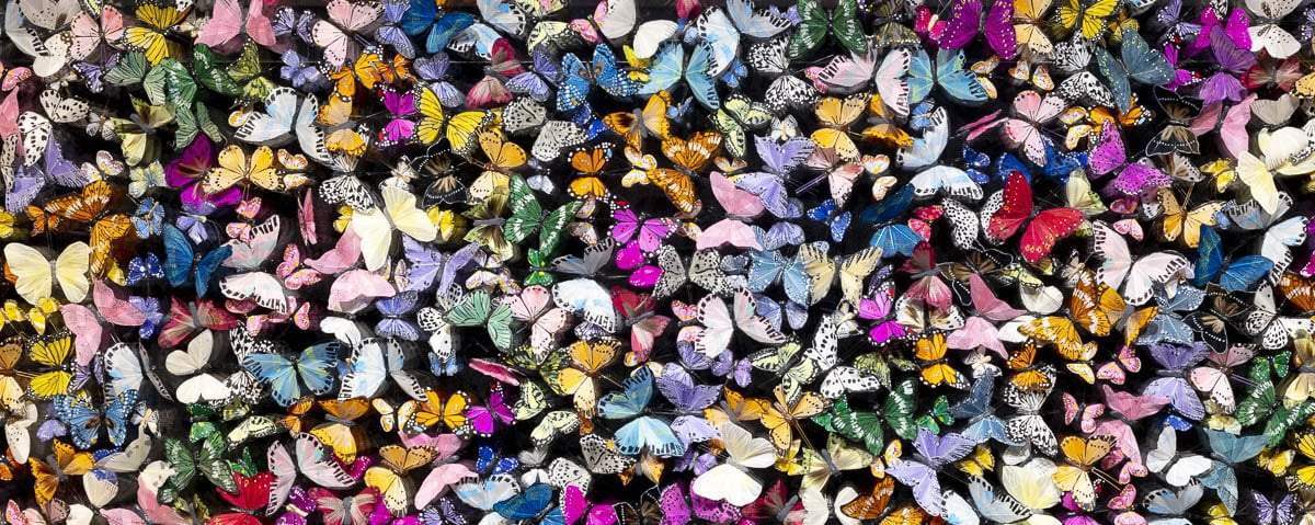 Flutter - Original - SOLD by artist Michael Olsen - Wyecliffe Galleries