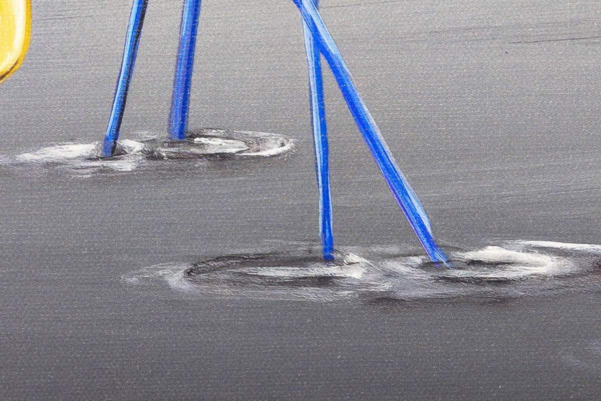 Birds of Paradise - Edition by artist Michael Summers - Wyecliffe Galleries