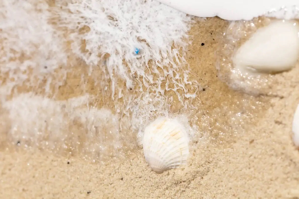 Seashells - Original - SOLD by artist Michelle Smith - Wyecliffe Galleries