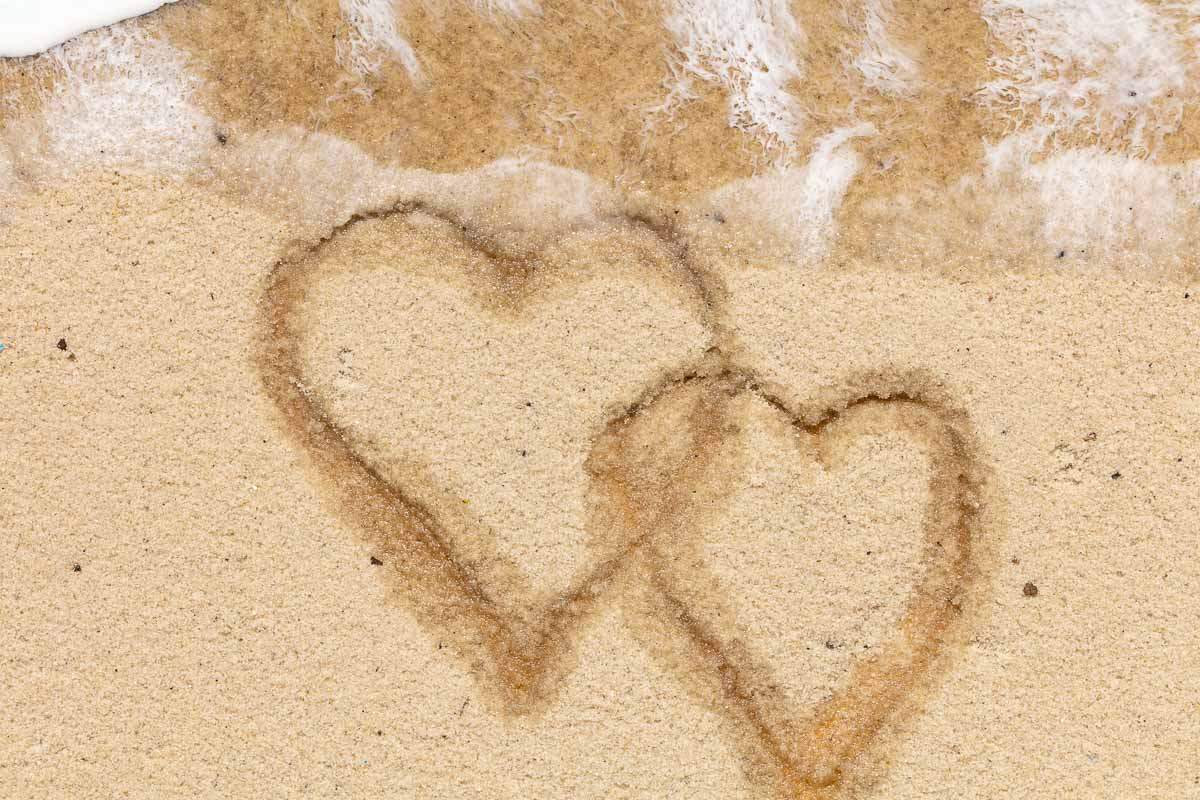 Seashells - Original - SOLD by artist Michelle Smith - Wyecliffe Galleries