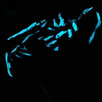 Champion - Original - SOLD by artist Mr Malcontent - Wyecliffe Galleries