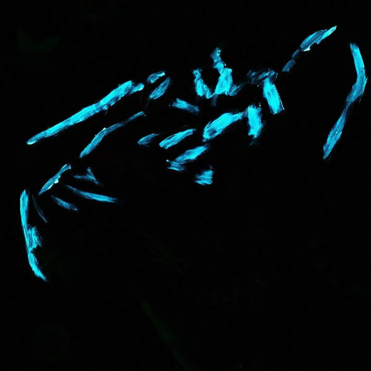 Champion - Original - SOLD by artist Mr Malcontent - Wyecliffe Galleries