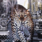 City Cat - Original - SOLD by artist Mr Malcontent - Wyecliffe Galleries