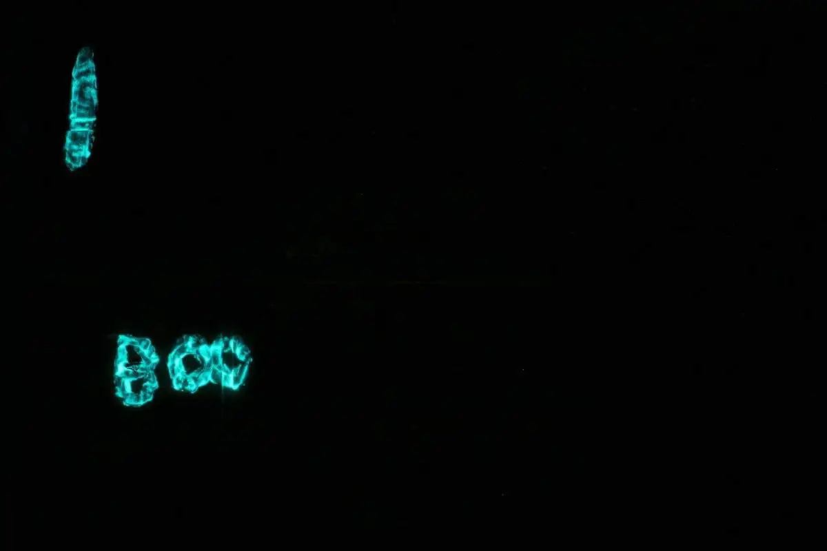 Snap Shot - Original - SOLD by artist Mr Malcontent - Wyecliffe Galleries