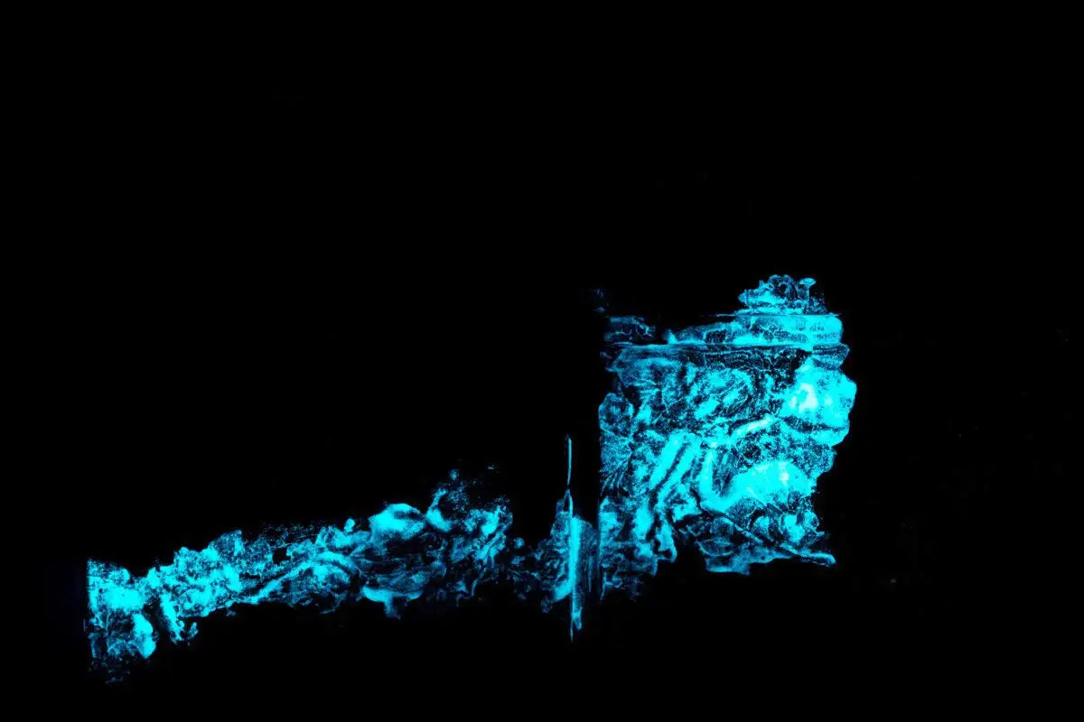 Toxic Waste - Original by artist Mr Malcontent - Wyecliffe Galleries