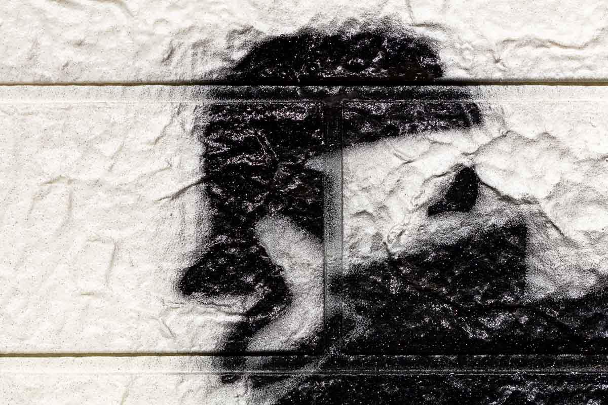 Wild Blooms - Original - SOLD by artist Mr Malcontent - Wyecliffe Galleries