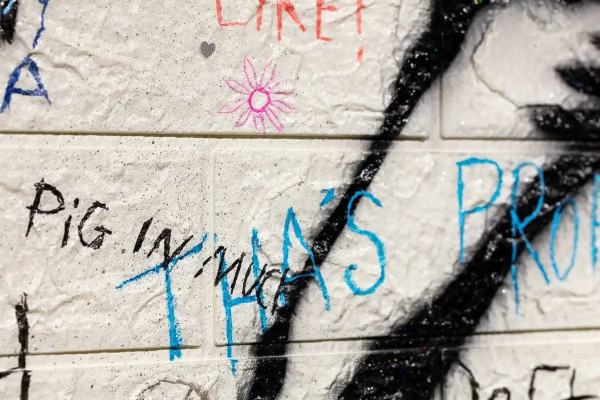 Wild Blooms - Original - SOLD by artist Mr Malcontent - Wyecliffe Galleries