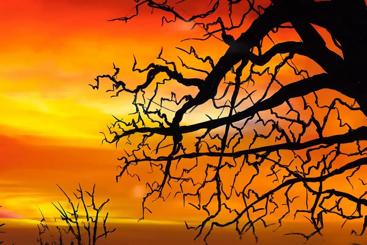 A Little Bit of Love - Original - SOLD by artist Richard King - Wyecliffe Galleries