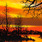 A Little Bit of Love - Original - SOLD by artist Richard King - Wyecliffe Galleries