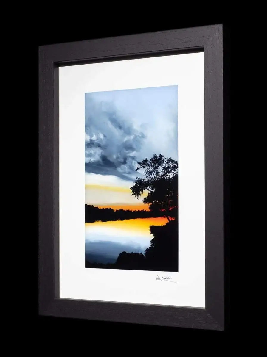 Chiquitita - Original - SOLD by artist Richard King - Wyecliffe Galleries