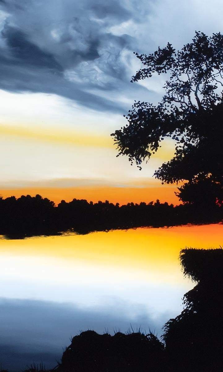 Chiquitita - Original - SOLD by artist Richard King - Wyecliffe Galleries