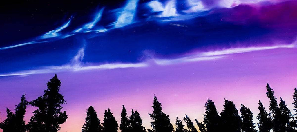 Come Alive - Original by artist Richard King - Wyecliffe Galleries