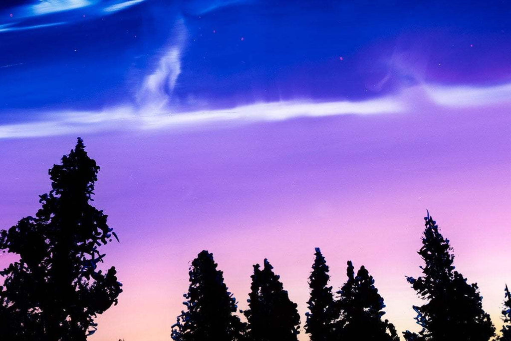 Come Alive - Original by artist Richard King - Wyecliffe Galleries