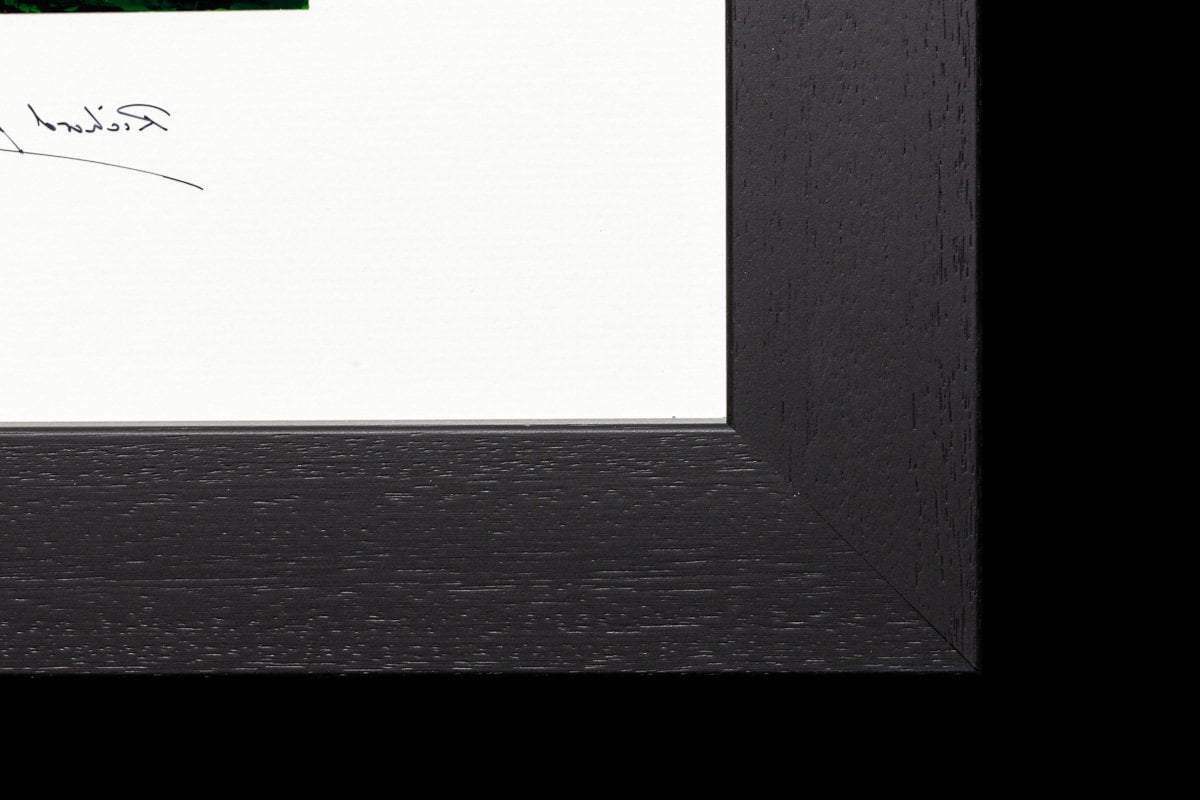 Diamonds and Pearls - Original by artist Richard King - Wyecliffe Galleries