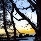 I Believe in Fairy Tales - Original by artist Richard King - Wyecliffe Galleries