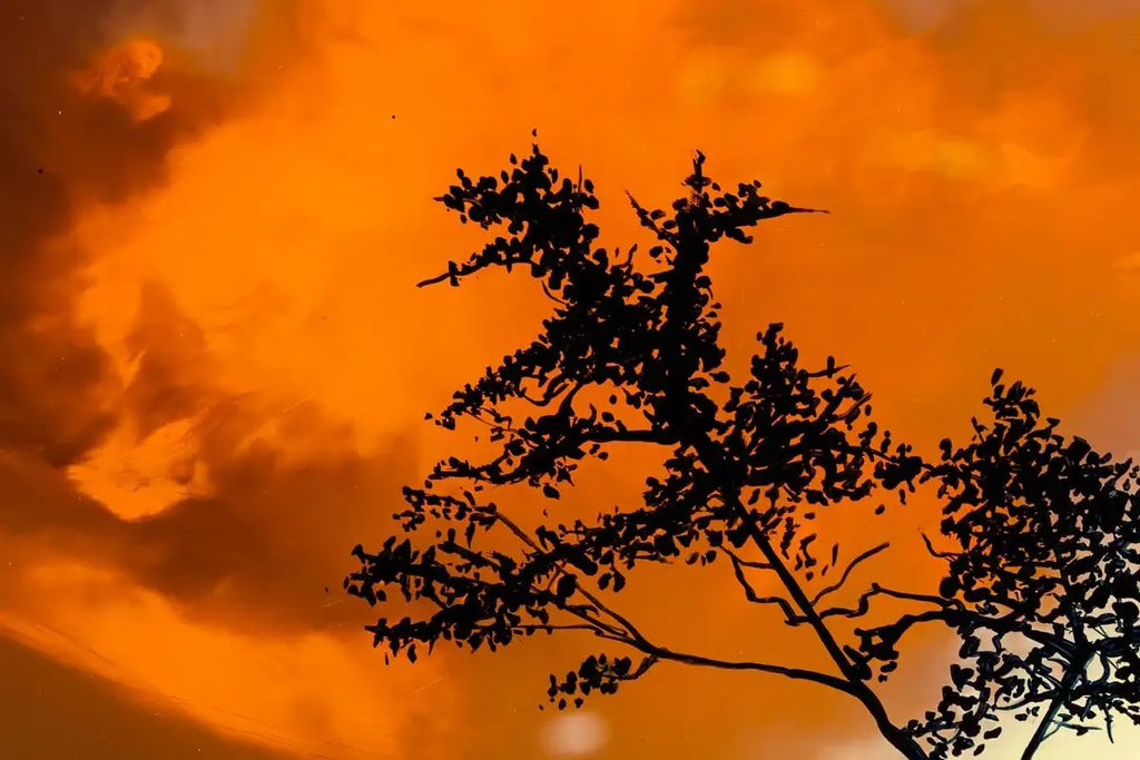 Lifes A State Of Mind - SOLD by artist Richard King - Wyecliffe Galleries