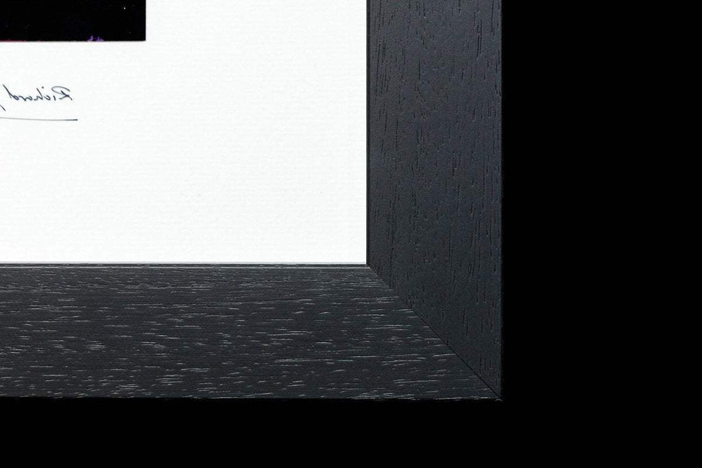 Livin' Thing - Original - SOLD by artist Richard King - Wyecliffe Galleries