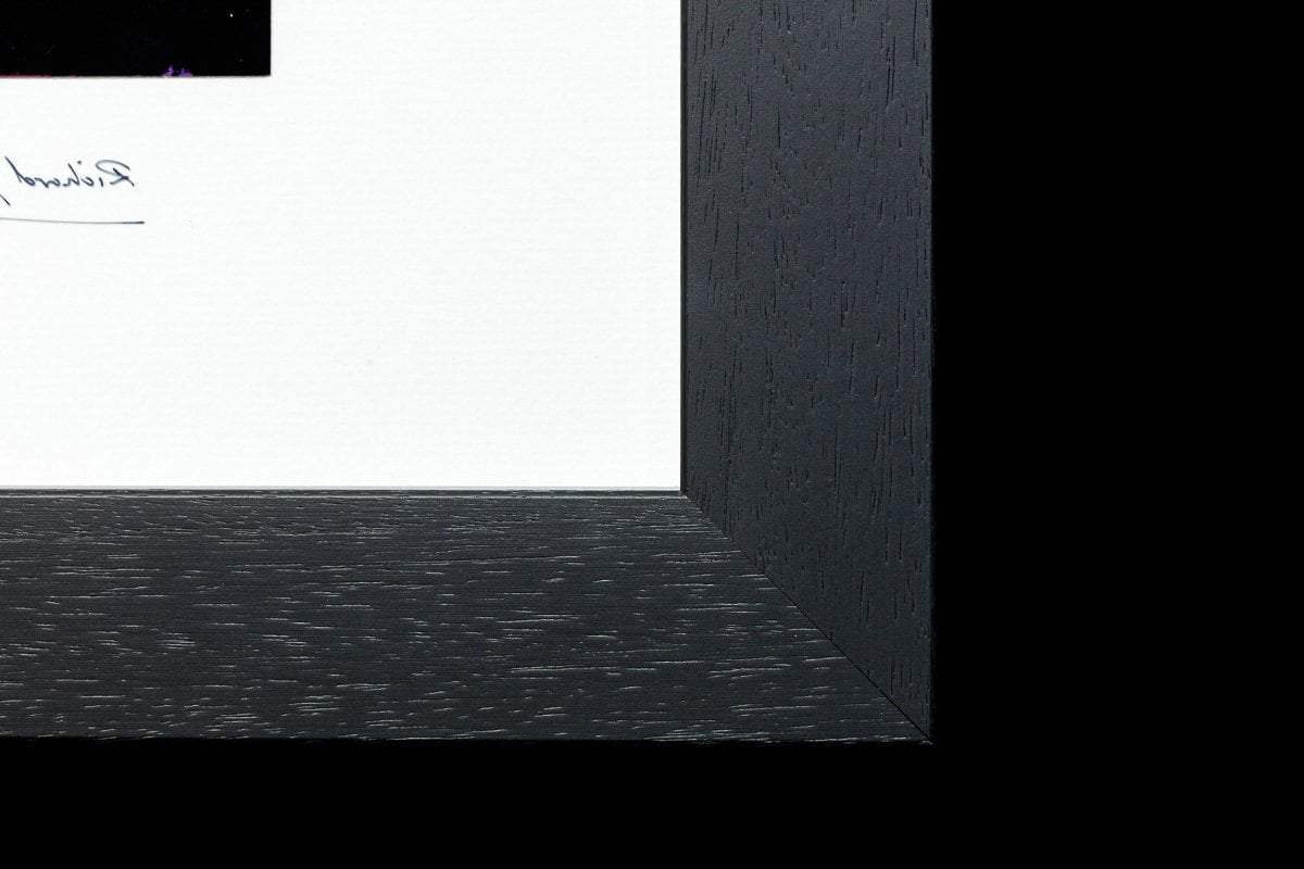 Livin' Thing - Original - SOLD by artist Richard King - Wyecliffe Galleries