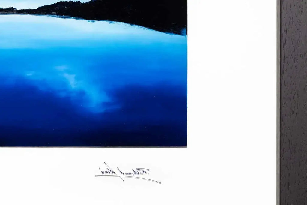 Midnight Blossom - Original - SOLD by artist Richard King - Wyecliffe Galleries