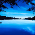 Midnight Blossom - Original - SOLD by artist Richard King - Wyecliffe Galleries