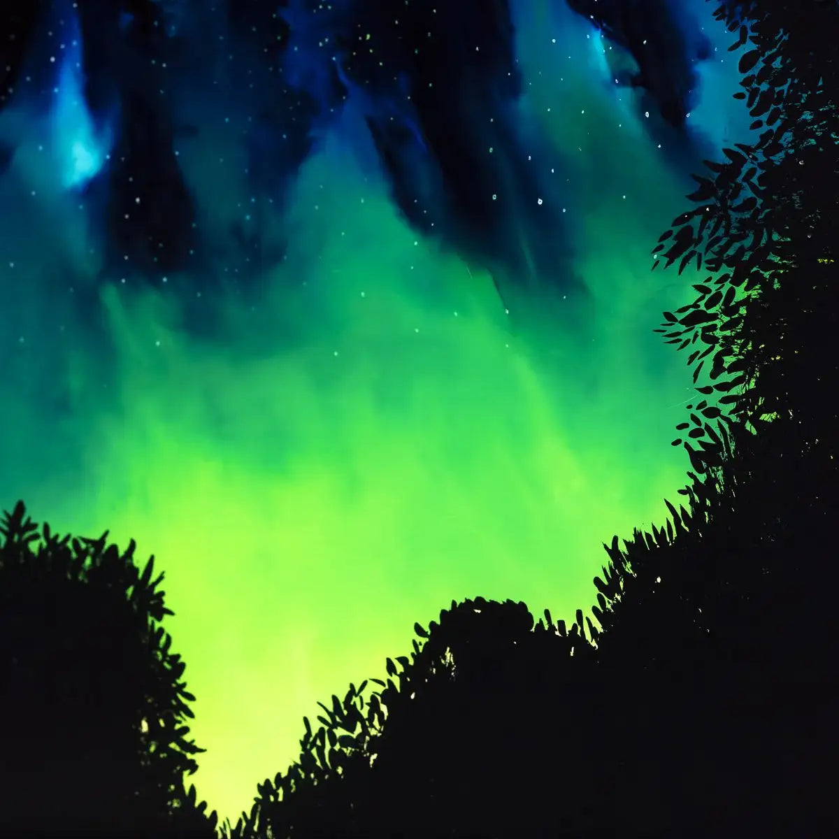 Night Fever - Original - SOLD by artist Richard King - Wyecliffe Galleries