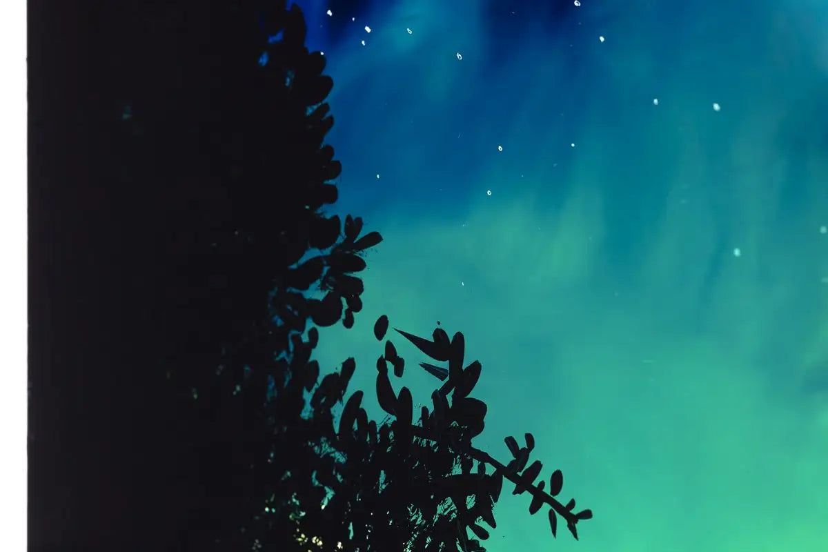 Night Fever - Original - SOLD by artist Richard King - Wyecliffe Galleries