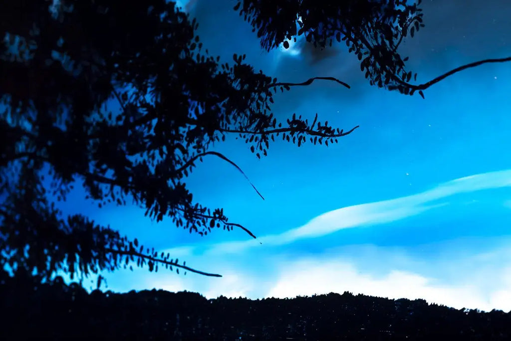 Spirit in the Sky - Original - SOLD by artist Richard King - Wyecliffe Galleries