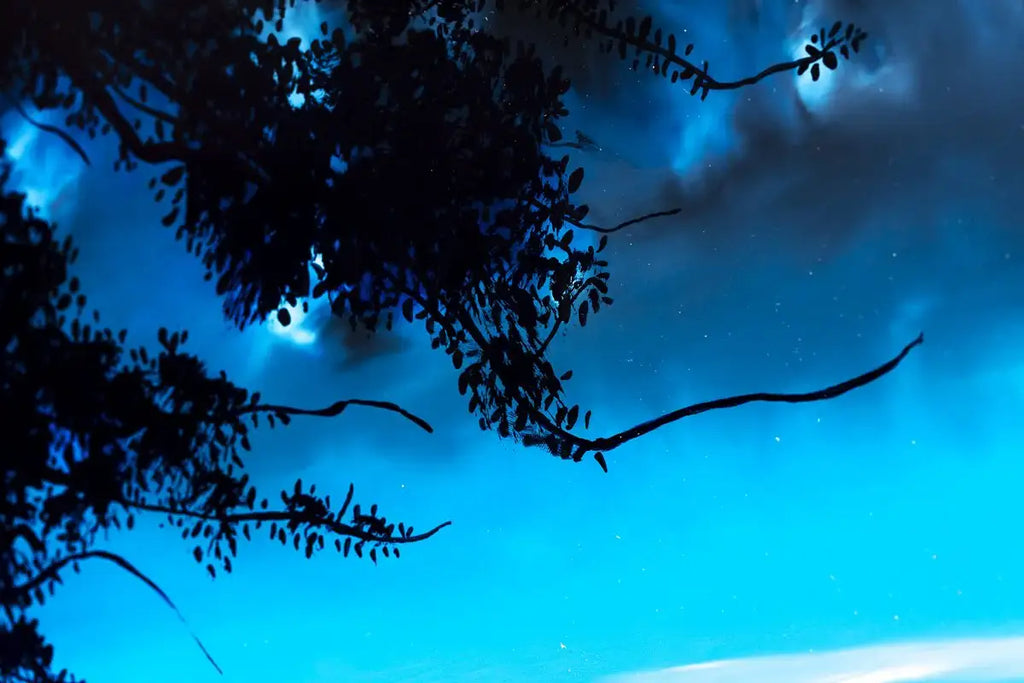 Spirit in the Sky - Original - SOLD by artist Richard King - Wyecliffe Galleries