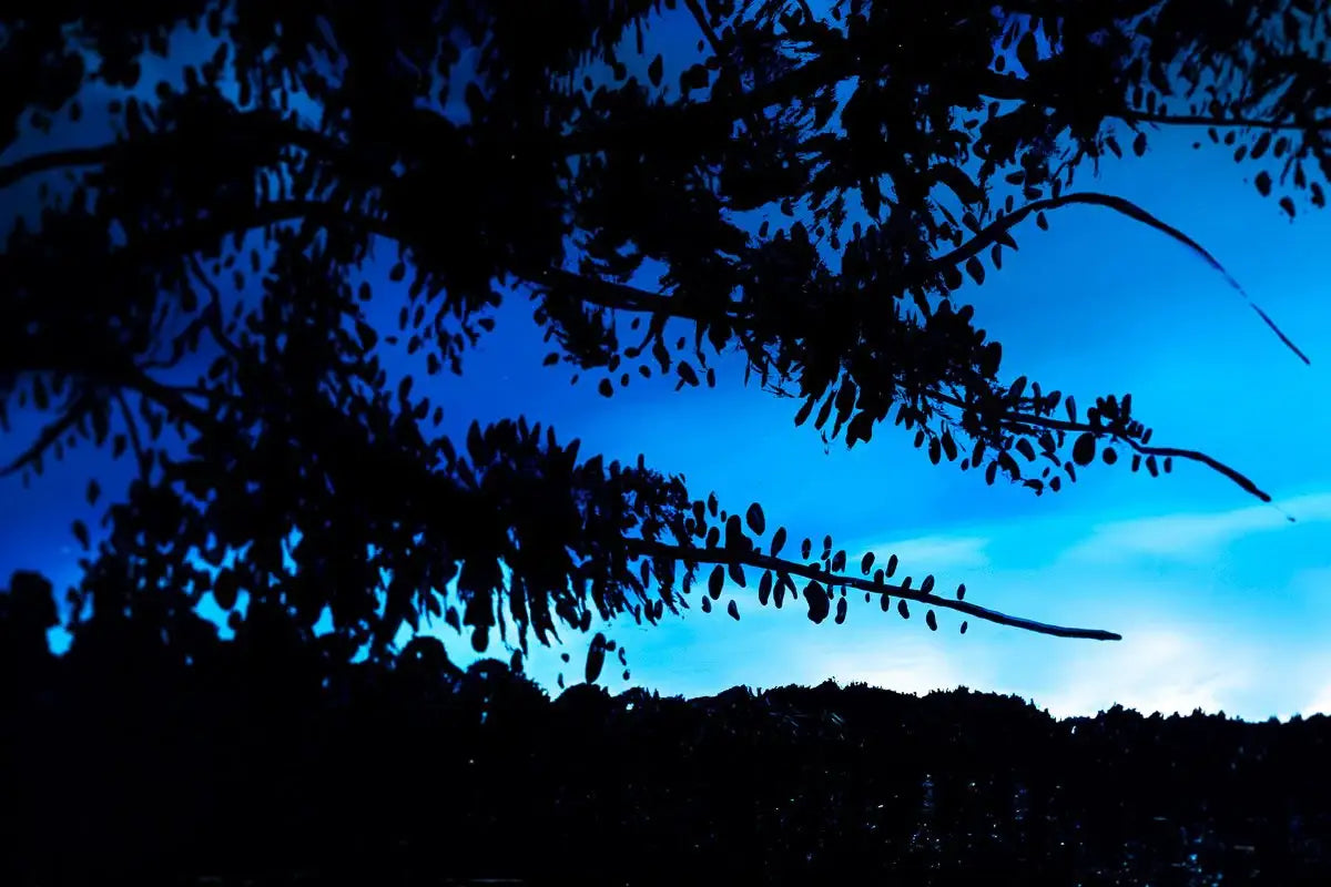 Spirit in the Sky - Original - SOLD by artist Richard King - Wyecliffe Galleries