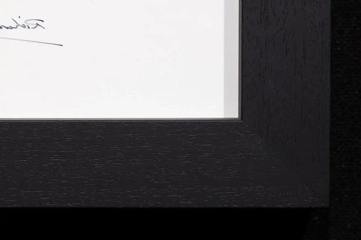 Super Sonic - Original by artist Richard King - Wyecliffe Galleries