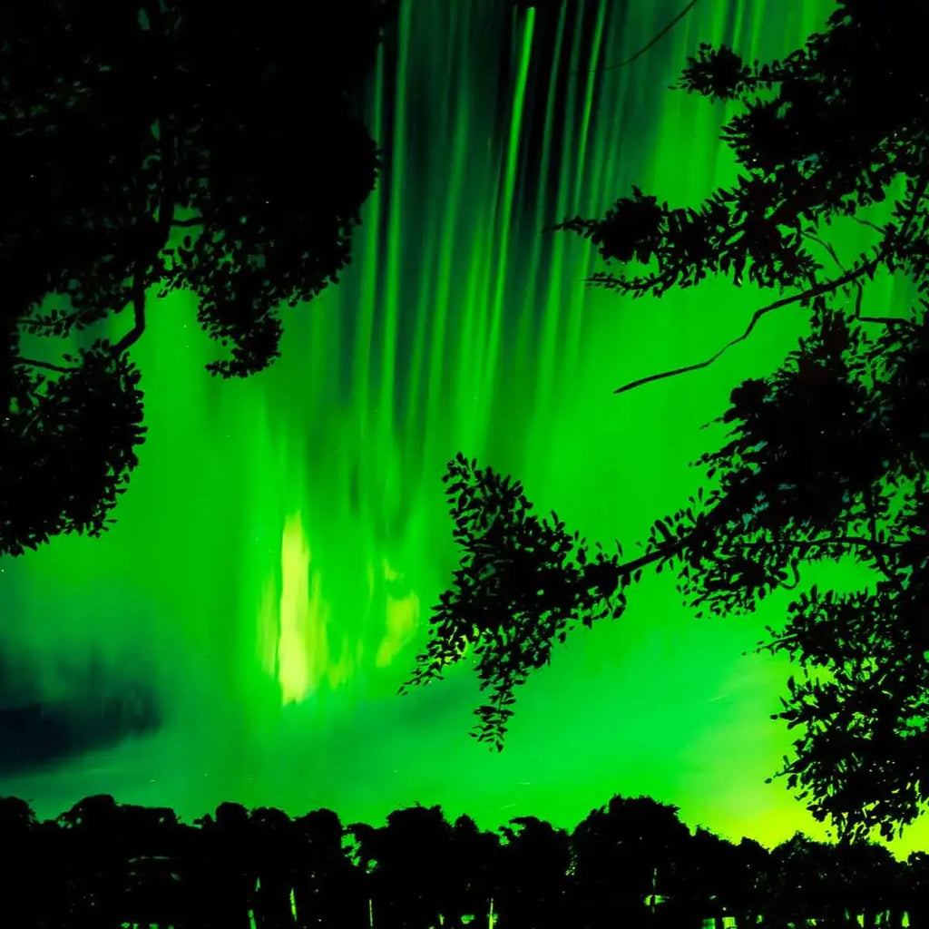 The Only Way Is Up - Original - SOLD by artist Richard King - Wyecliffe Galleries