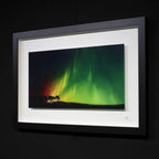 Magic At Midnight - Edition - SOLD by artist Richard Rowan - Wyecliffe Galleries