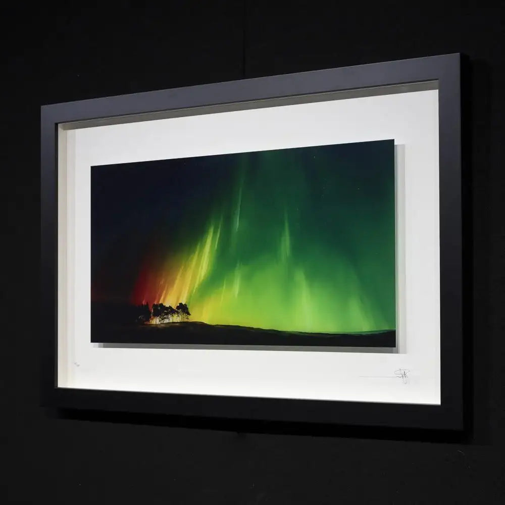 Magic At Midnight - Edition - SOLD by artist Richard Rowan - Wyecliffe Galleries