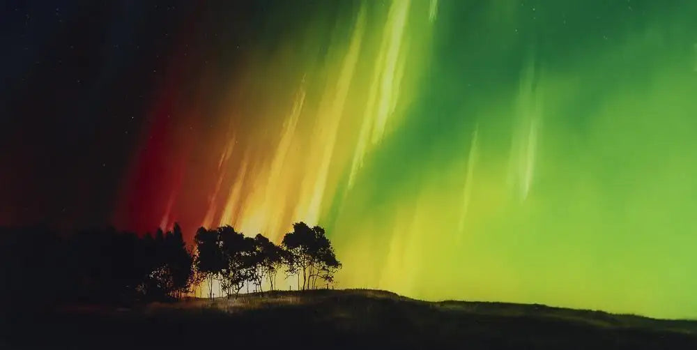 Magic At Midnight - Edition - SOLD by artist Richard Rowan - Wyecliffe Galleries