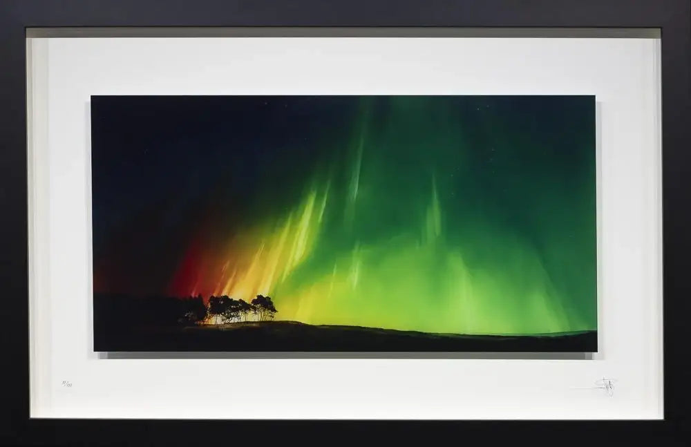 Magic At Midnight - Edition - SOLD by artist Richard Rowan - Wyecliffe Galleries