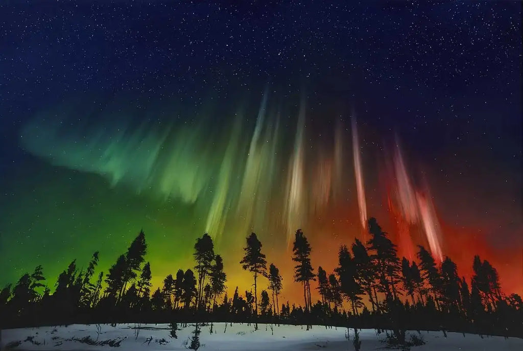 Nature Awakens - SOLD OUT by artist Richard Rowan - Wyecliffe Galleries