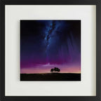 Symphony of Light - SOLD OUT by artist Richard Rowan - Wyecliffe Galleries