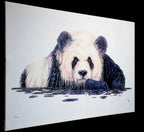 Diplomat - Edition - SOLD OUT by artist Robert Oxley - Wyecliffe Galleries