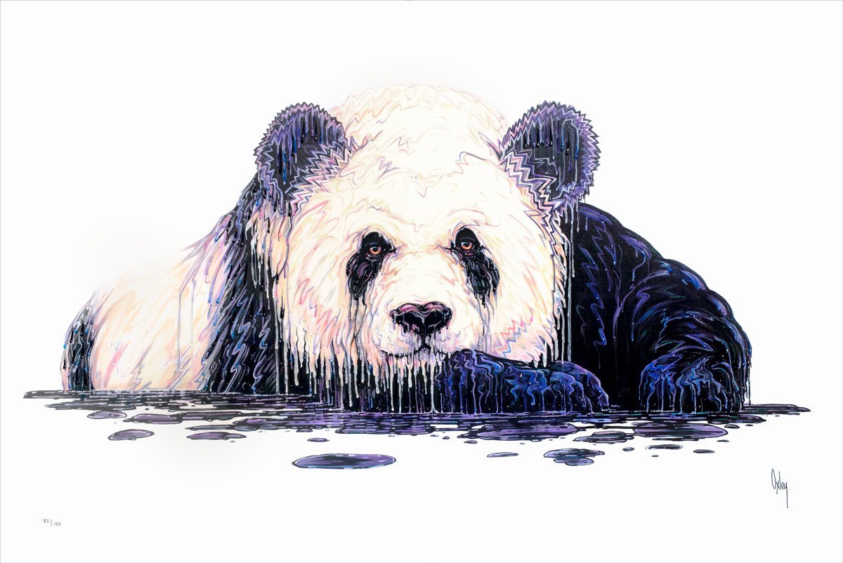 Diplomat - Edition - SOLD OUT by artist Robert Oxley - Wyecliffe Galleries