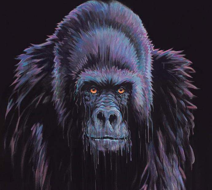 Harambe - Edtion - SOLD OUT by artist Robert Oxley - Wyecliffe Galleries