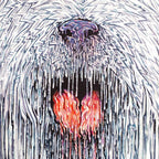 Ozzie - SOLD OUT by artist Robert Oxley - Wyecliffe Galleries