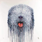 Ozzie - SOLD OUT by artist Robert Oxley - Wyecliffe Galleries