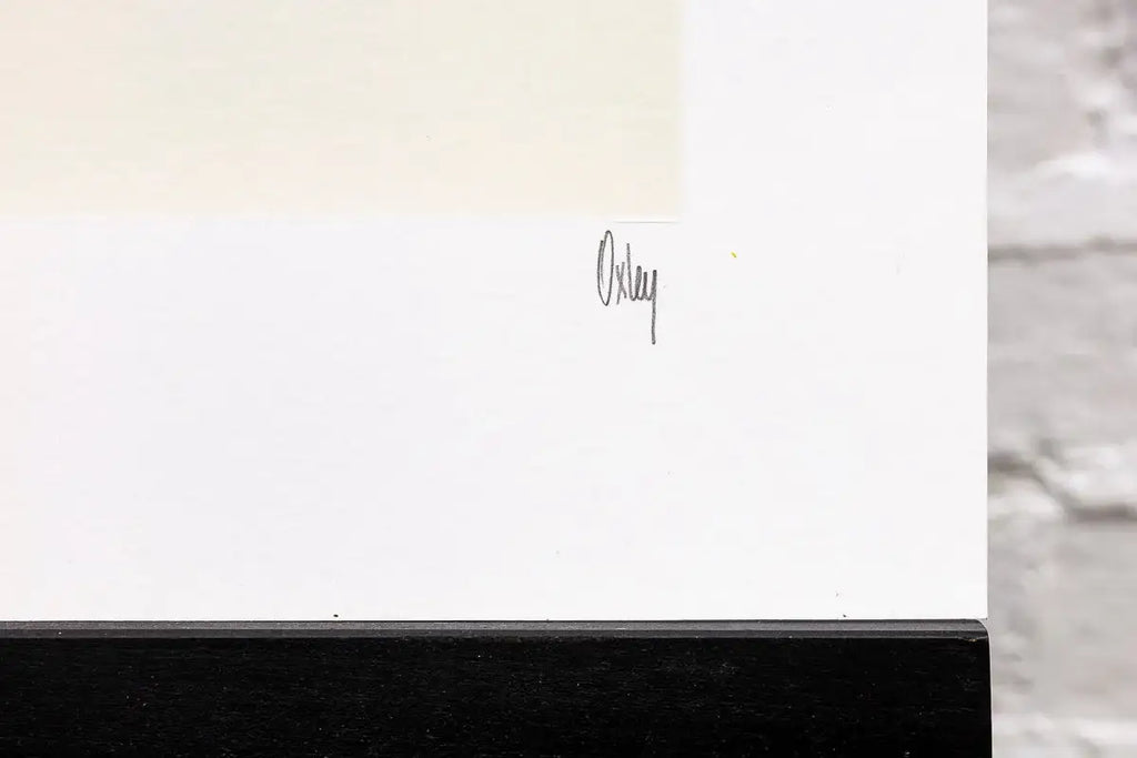 Sonic 25th Anniversary Matching Set of 4 - Edition by artist Collaboration - Wyecliffe Galleries