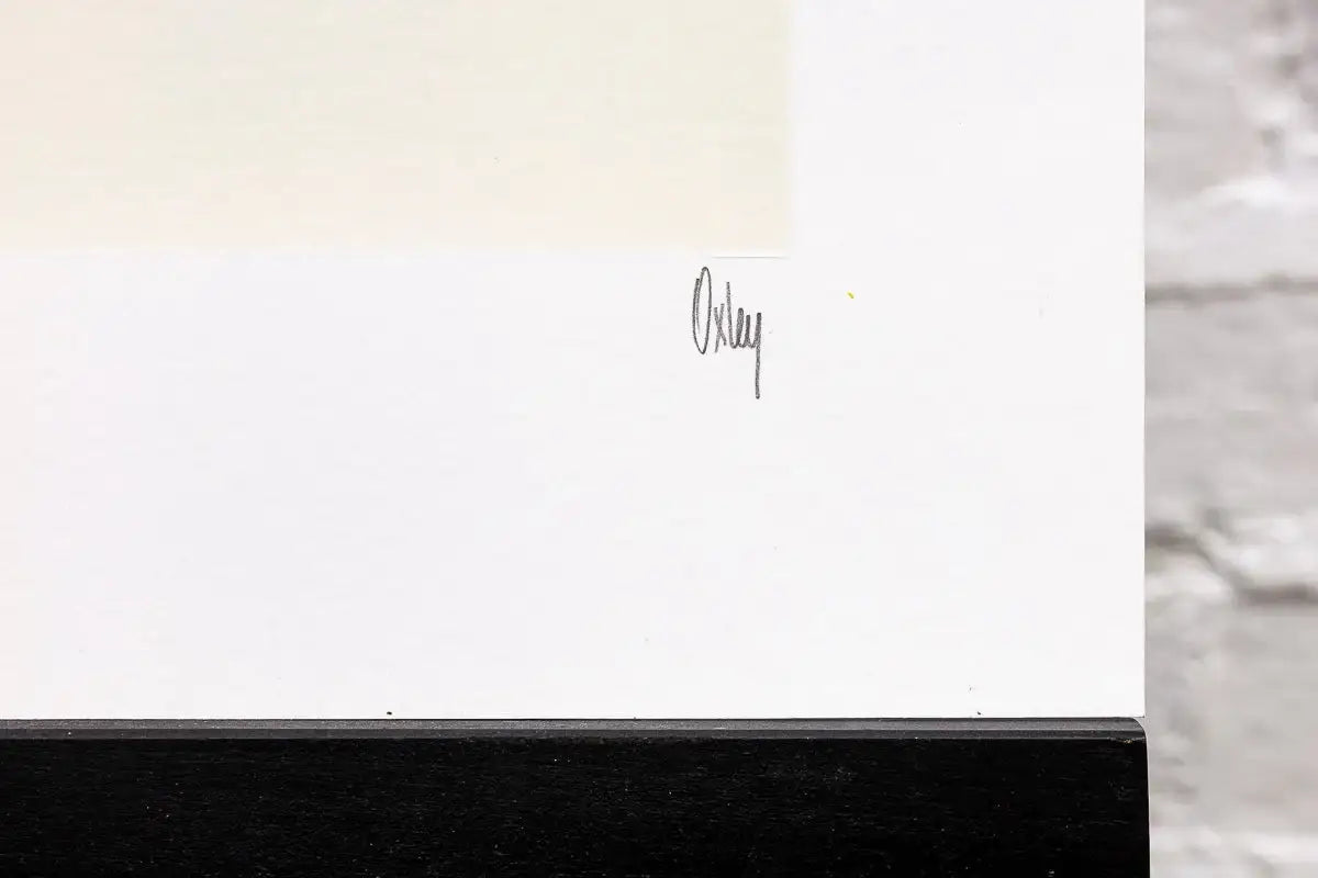 Sonic 25th Anniversary Matching Set of 4 - Edition by artist Collaboration - Wyecliffe Galleries