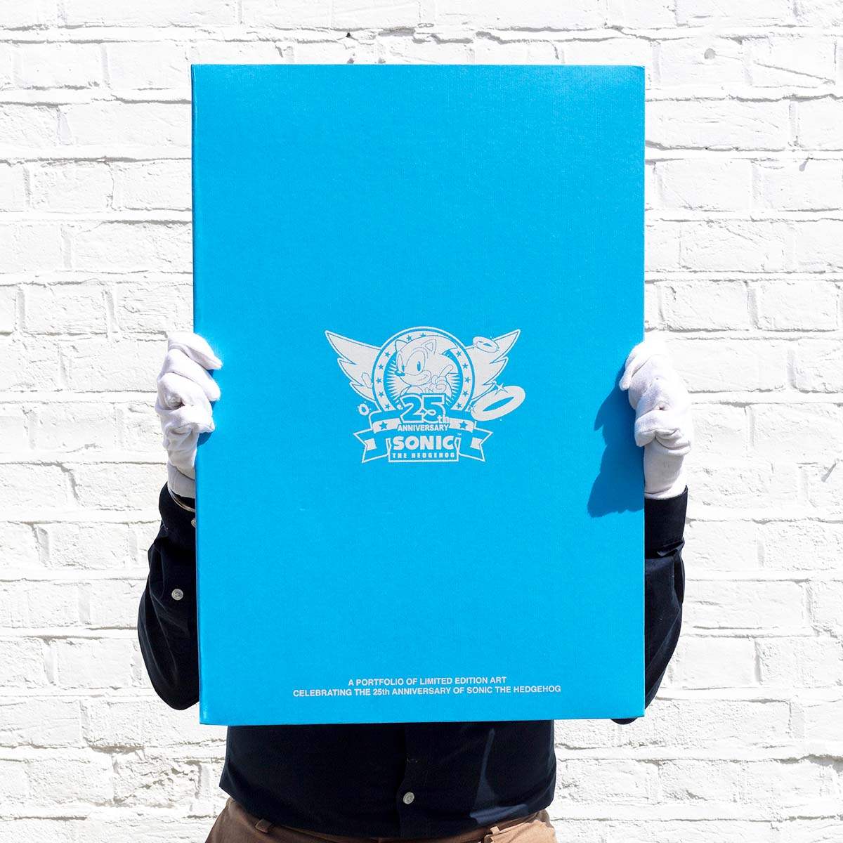 Sonic 25th Anniversary Matching Set of 4 - Edition by artist Collaboration - Wyecliffe Galleries