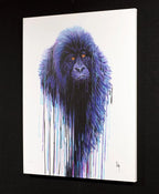 Virunga - SOLD OUT by artist Robert Oxley - Wyecliffe Galleries