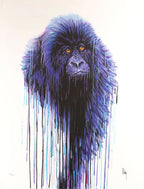 Virunga - SOLD OUT by artist Robert Oxley - Wyecliffe Galleries